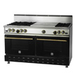 Black Gas Range by BlueStar